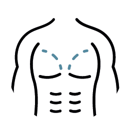 Icon-brust-maennerbrust